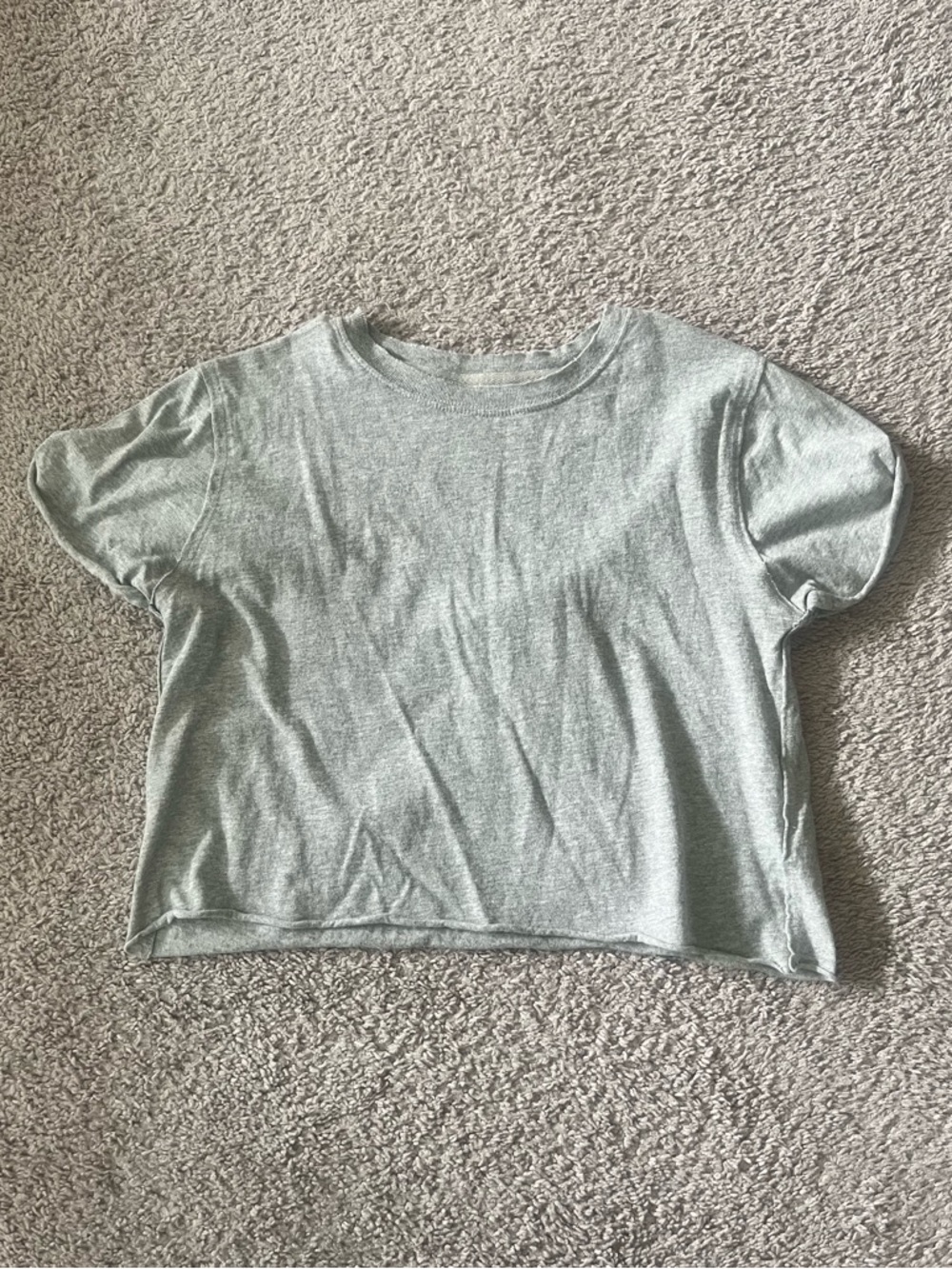 We The Free Grey Cropped T-Shirt